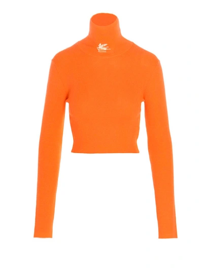 Etro Cropped Embroidered Turtleneck Jumper In Orange