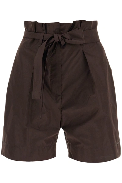 Max Mara 'cordoba' Shorts In Brown