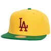 Mitchell & Ness Men's  Yellow, Green Los Angeles Dodgers Hometown Snapback Hat In Yellow