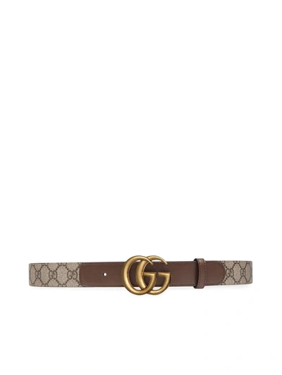 Gucci Gg Belt With Double G Buckle In Brown