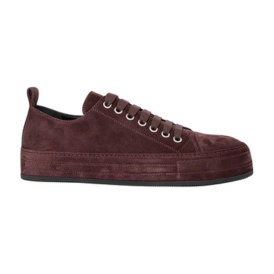 Ann Demeulemeester Gert Low-top Sneakers In Aubergine