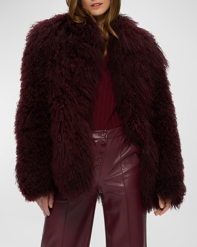 Gorski Mongolian Goat Shearling Jacket In Burgundy