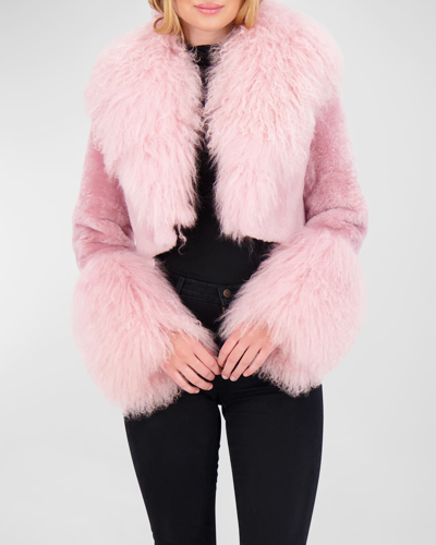 Gorski Cashmere Goat Shearling Crop Bolero Jacket With Mongolian Goat Fur Collar And Cuffs In Pink