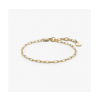 Ana Luisa Link Chain Bracelet In Gold