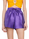 Sandro Hoki In Purple