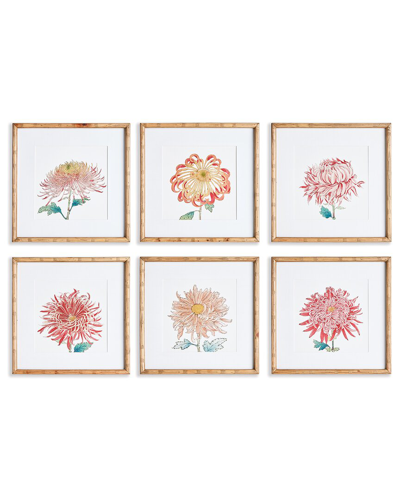 Napa Home & Garden Set Of 6 Colorful Chrysanthemum Prints