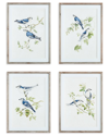 NAPA HOME & GARDEN NAPA HOME & GARDEN SET OF 4 BLUE BIRDS PRINTS