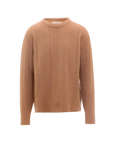 Anylovers Jumper In Brown