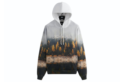 Pre-owned Kith Woodland Nelson Hoodie Pacify