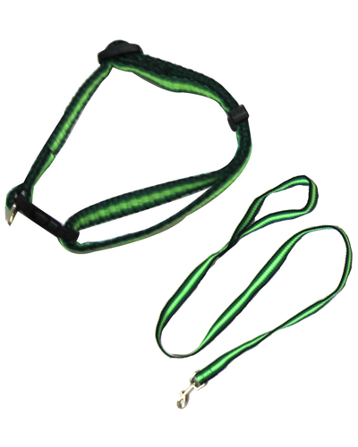 Iconic Pet Rainbow Adjustable Collar With Leash - Medium In Green