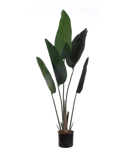 Safavieh Faux Gladiolus Potted Plant In Black