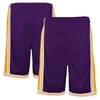 MITCHELL & NESS YOUTH MITCHELL & NESS PURPLE LOS ANGELES LAKERS HARDWOOD CLASSICS SWINGMAN SHORTS