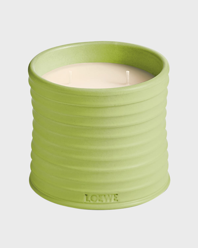 Loewe Medium Cucumber Candle, 20.7 Oz. In Green