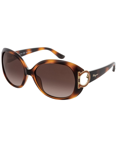 Ferragamo Women's Sf668s 57mm Sunglasses In Brown