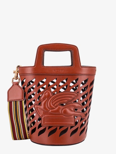 Etro Woman Bucket Bag Woman Brown Bucket Bags