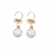 Poporcelain Mini Porcelain Moonlight Rose Drop Earrings In Drop