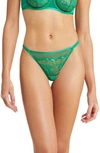 Etam Amaryllis Embroidered Thong In Grass Green