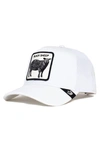 Goorin Bros . Platinum Sheep Trucker Hat In Platinum