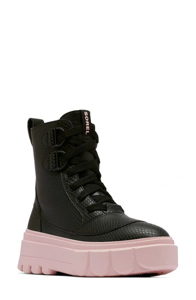 Sorel Caribou X Waterproof Leather Lace-up Boot In Black/vintage Pink