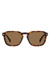 Polaroid 53mm Polarized Rectangular Sunglasses In Havana/ Bronze Polarized