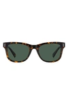 Havana/ Green Polarized