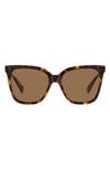 Havana/ Bronze Polarized