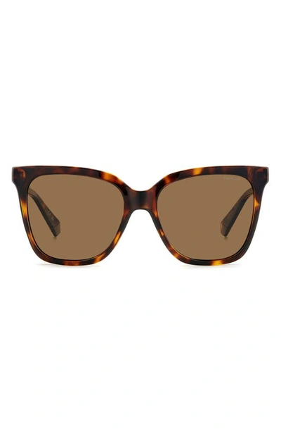 Polaroid 55mm Polarized Square Sunglasses In Havana/ Bronze Polarized