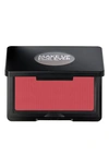 MAKE UP FOR EVER MAKE UP FOR EVER ARTIST LONGWEAR SKIN-FUSING POWDER BLUSH