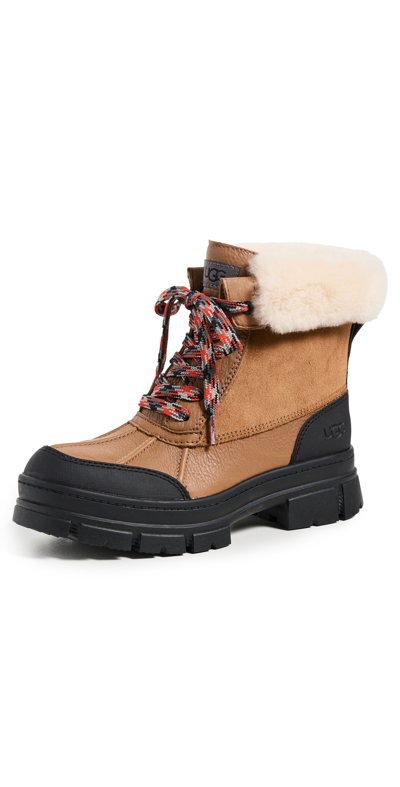 Ugg Ashton Addie Waterproof Winter Boots In Chestnut