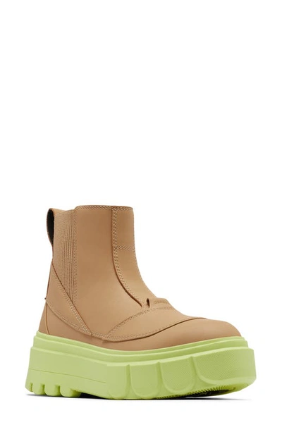 Sorel Waterproof Platform Chelsea Boot In Canoe/ Tippet