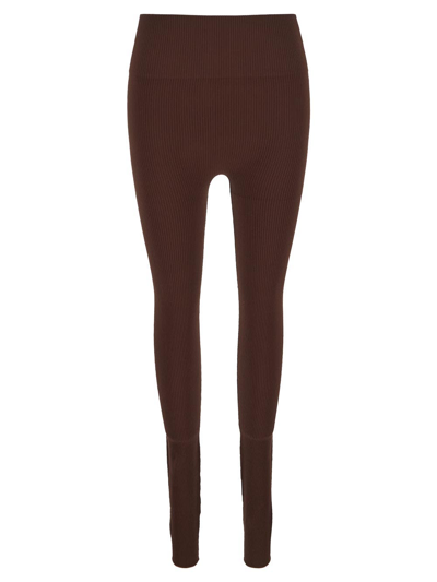 Andreädamo Stirrup Leggings In Brown