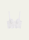 DOLCE & GABBANA SCALLOPED PIZZO LACE BALCONETTE BRA