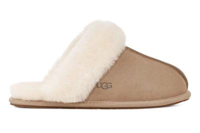 Pre-owned Ugg Scuffette Ii Mustard Seed (women's) In Mustard Seed/natural