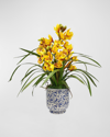Winward Home Cymbidium Orchid In Cache Pot In Blue