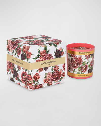 Dolce & Gabbana Musky Rose Scented Candle, 8.8 Oz. In Multi