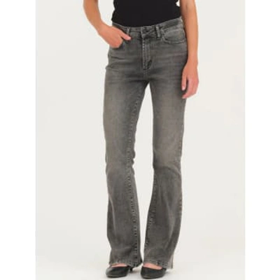 Ivy Copenhagen Tara Jeans Rockstar Grey