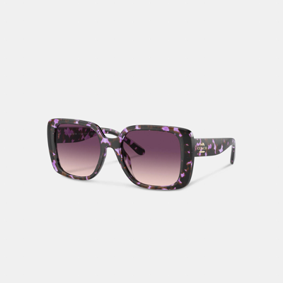 Coach Oversized Square Sunglasses In Purple