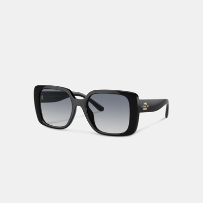 Coach Oversized Square Sunglasses In Black