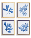 NAPA HOME & GARDEN NAPA HOME & GARDEN SET OF 4 INDIGO SEAWEED PRINTS