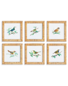 NAPA HOME & GARDEN NAPA HOME & GARDEN SET OF 6 SONGBIRD PETITE PRINTS