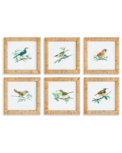 Napa Home & Garden Set Of 6 Songbird Petite Prints