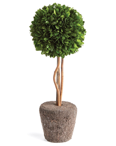 Napa Home & Garden Boxwood Single Sphere Topiary Drop-in 16 In Green