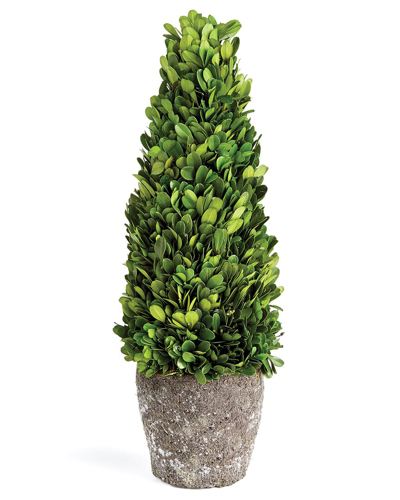 Napa Home & Garden Boxwood Cone Topiary Drop-in 16 In Green