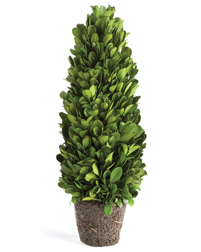 Napa Home & Garden Boxwood Cone Topiary Drop-in 12 In Green