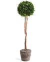 NAPA HOME & GARDEN NAPA HOME & GARDEN BOXWOOD SINGLE SPHERE TOPIARY DROP-IN 24