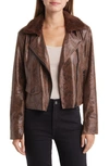 Lyssé Liana Faux Shearling Collar Faux Snakeskin Moto Jacket In Coc Pow Sn