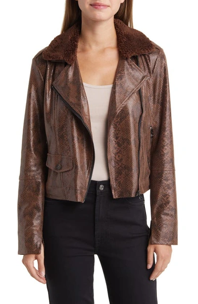 Lyssé Liana Faux Shearling Collar Faux Snakeskin Moto Jacket In Coc Pow Sn