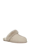 Ugg Scuffette Ii Slipper In Goat Suede