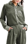 Splendid Irene Stretch Velvet Button-up Shirt In V Olv Brn
