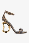 Dolce & Gabbana Keira 105 Leopard Print Leather Dg Baroque Sandals In Multicolor